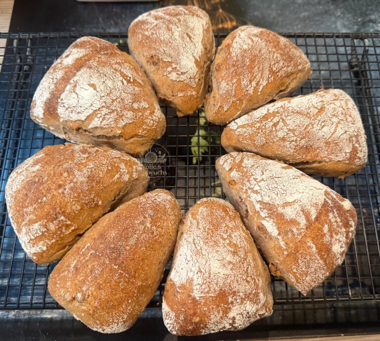 Magst du Walnussbrötchen?