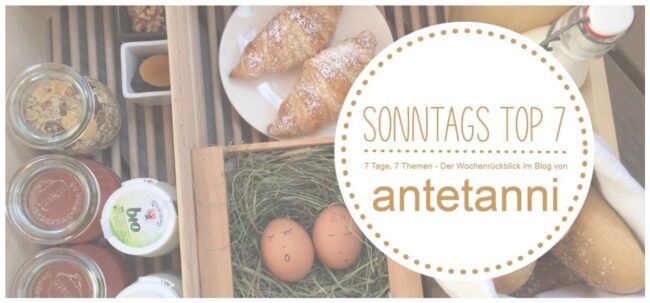 Sonntags Top 7 {Woche 04-2026}